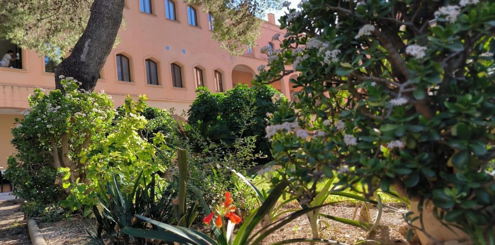 Albergue Rosa Molas Arrabal de Jesus Buitenkant foto
