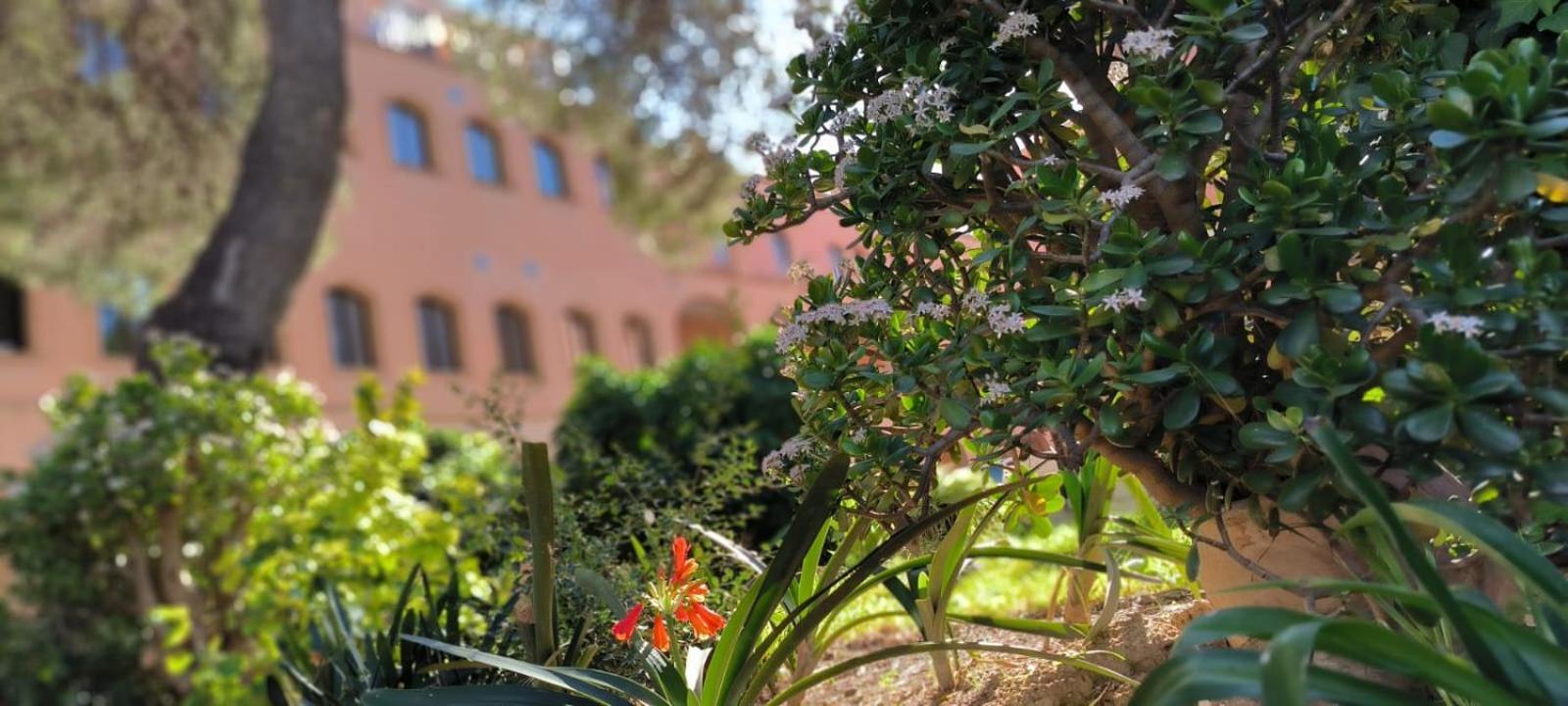 Albergue Rosa Molas Arrabal de Jesus Buitenkant foto
